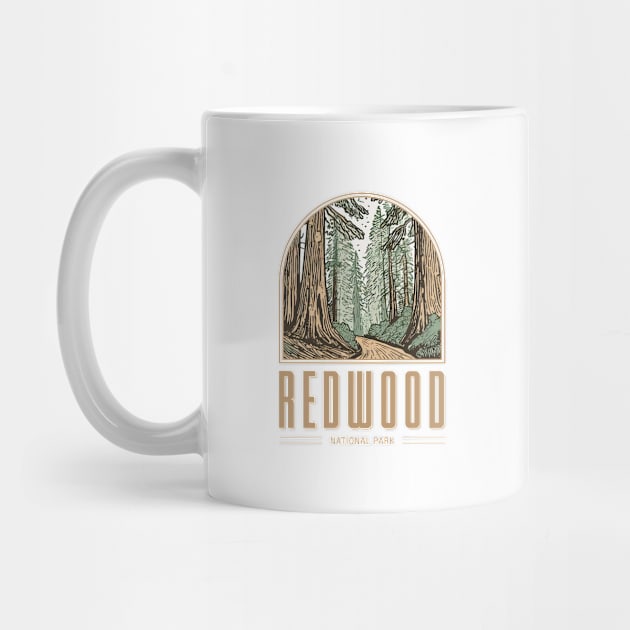 Redwood National Park by Curious World